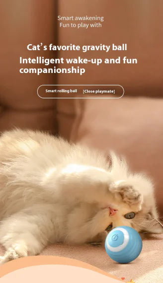 PurePet™ Pet Play Ball