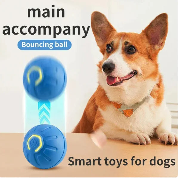 PurePet™ Pet Play Ball