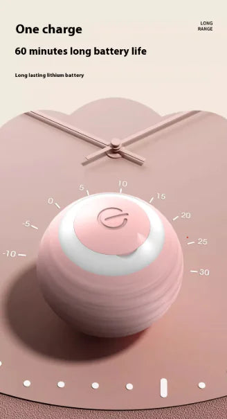 PurePet™ Pet Play Ball