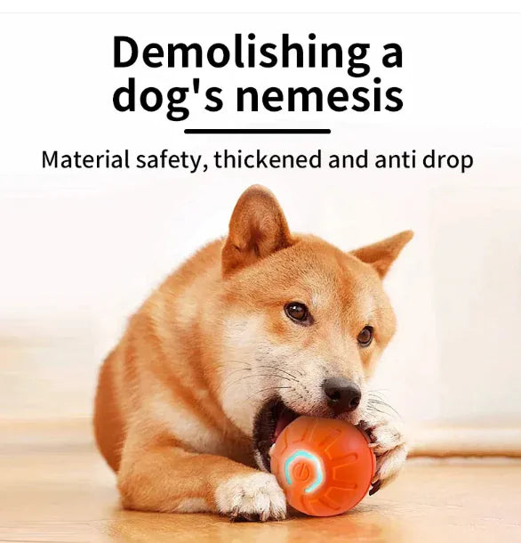 PurePet™ Pet Play Ball